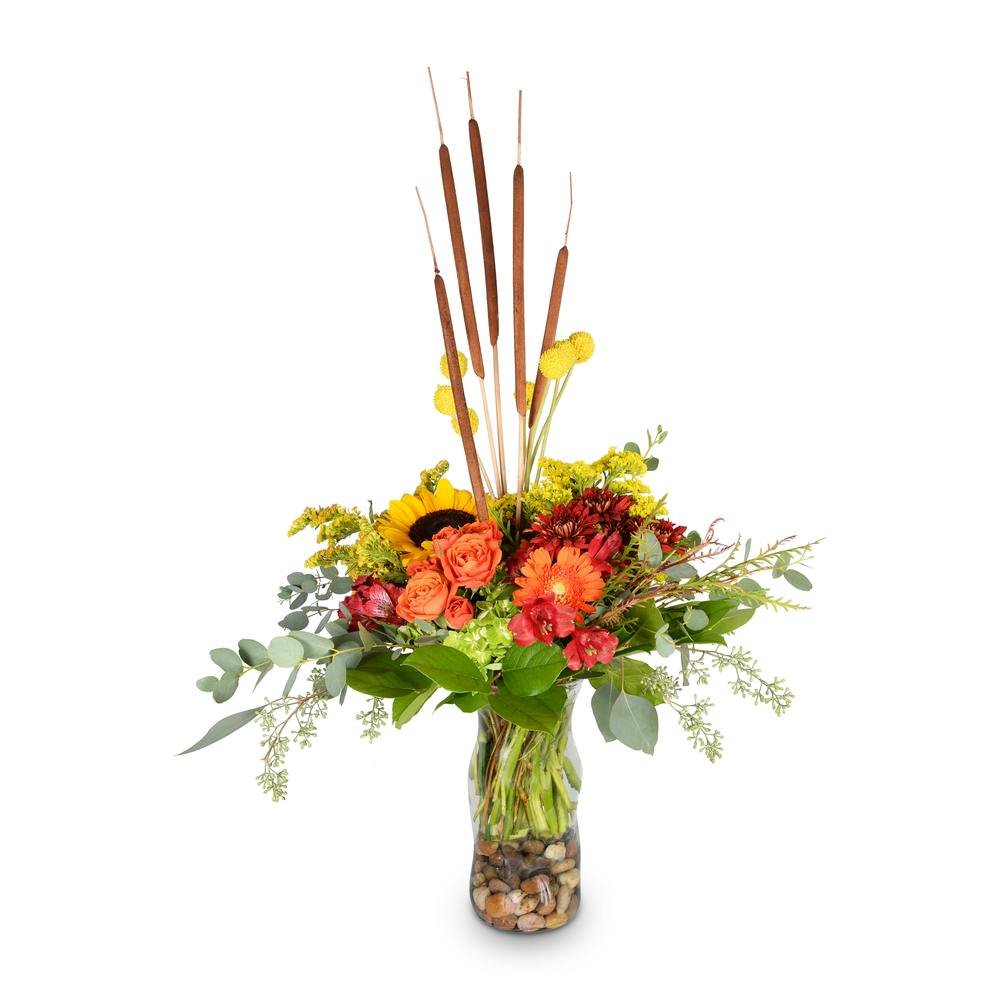 Joy of Nature Mobile (AL) Flower Delivery Rose Bud Flowers