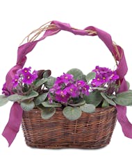 Very Violet Basket