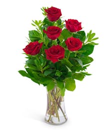 Something Classic - 6 Red Roses