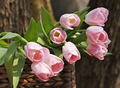 A soft pink bouquet resting in a brown picnic basket